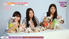 GFriend - 拜托,小狗 EP10