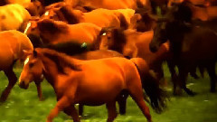 乌兰巴托草原之夜