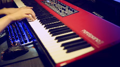 樱花樱花想见你