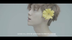 鹿晗 - 你 2016鹿晗庆生应援