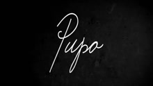 Pupo - Porno Contro Amore