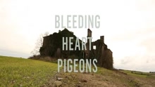 Bleeding Heart Pigeons - They're Cutting Down The Old Oak Tree