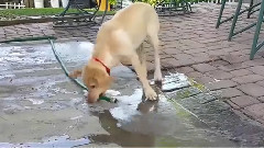 Fill the swimming pool