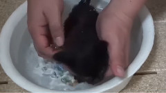 Super shower bath of small black cat to help dig ear small black cat