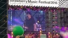 南山南 & 董小姐