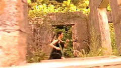 华语群星 - 灞桥柳