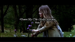 Down By The Sally Gardens ( guitar )