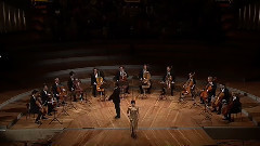 皮亚佐拉的舞曲2