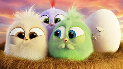 影视原声 - 愤怒的小鸟母亲节送祝福祝天下妈妈节日快乐