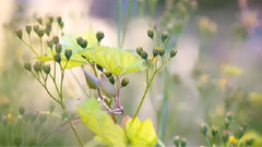 Omar Akram,音乐短片 - Τake My hand