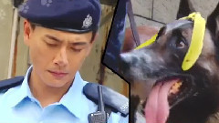 钟嘉欣 - 你懂我