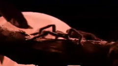 影视原声 - <红蜘蛛1>序曲