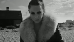 Alpines - Completely