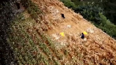 影视原声 - 舌尖上的中国2