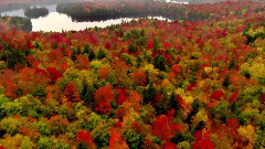 Surreal Landscape Around The World