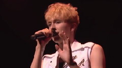 Nicholas Edwards - ハナミズキ