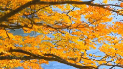 A Breathtaking Piano Piece