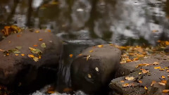 Secret Garden - Apassionata