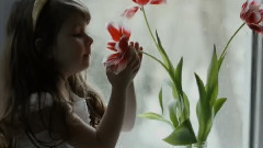 Omar Akram - 生命之爱