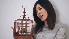 小太阳生日快乐