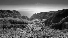 Lene Marlin - Flown Away