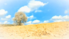 Franz Liszt Liebestraum Dream Of Love