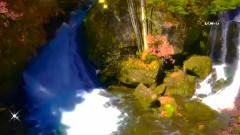 Awakening From The Dream