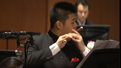 民乐群星 - 飞歌