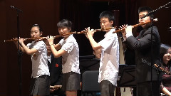 民乐群星 - 野蜂飞舞