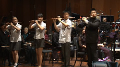 民乐群星 - 喜讯传来乐开怀