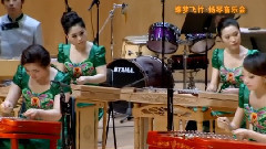 民乐群星 - 四季 春