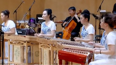 民乐群星 - 三六