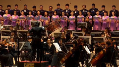 民乐群星 - 终曲 顽石梦醒