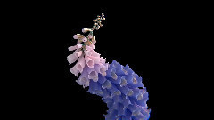 Flume,音乐短片 - Lose It