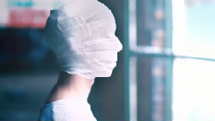 Ladybug and the Wolf - Animals