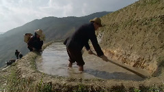 来自泥土的呼唤