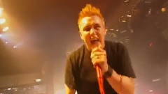 Papa Roach - Singular Indestructible Droid