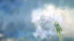 Secret Garden - First Day Of Spring