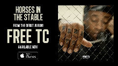 Horses In The Stable