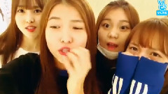 GFriend,信飞(GFriend) - V App - Happy SinB Day