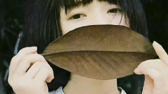 唐磊,音乐短片 - 丁香花