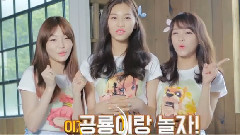 STONE AGE X I.O.I CF 15'Ver.