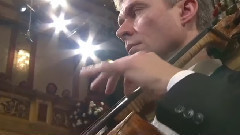 民乐群星 - 维也纳乐团