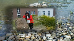 华语童星 - 快乐小神仙-美娟专辑