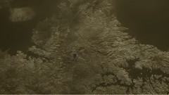 Ortus (Original Mix)