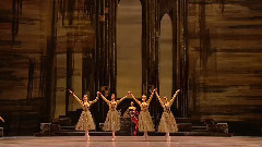 芭蕾舞 天鹅湖 上