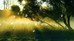 Утринно великолепие! ... ...((Stamatis Spanoudakis music)