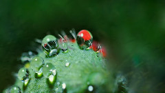 李闰珉 - 雨的印记