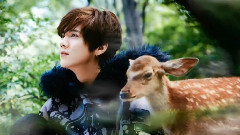 鹿晗 - 在雨中回想你RAIN LUHAN