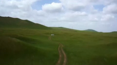 民乐群星 - 斯琴朝克图